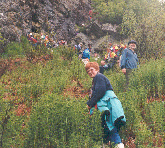 På veg til Jakopskyrkja