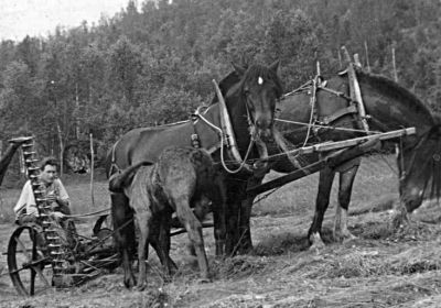 Person- og små gruppefoto