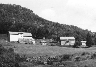 Torstein Skjervheim og slekta hans 